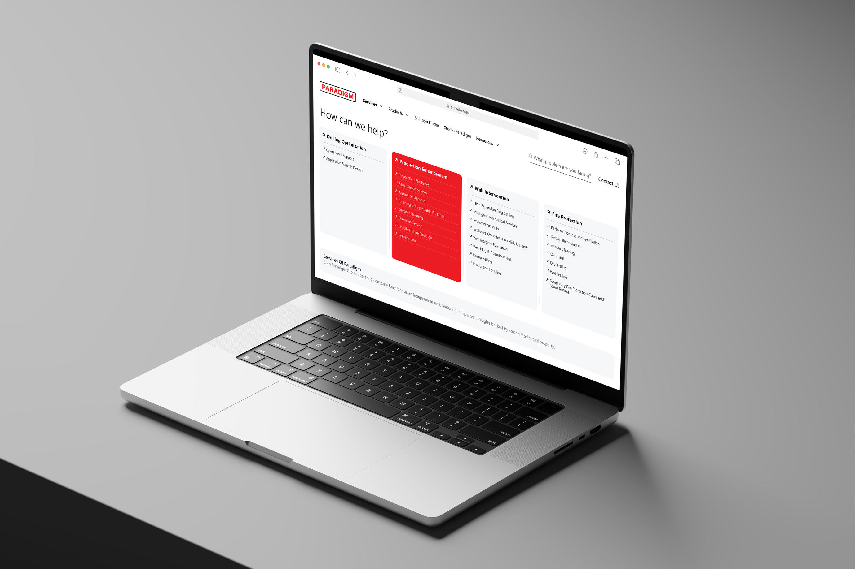 Paradigm website overview